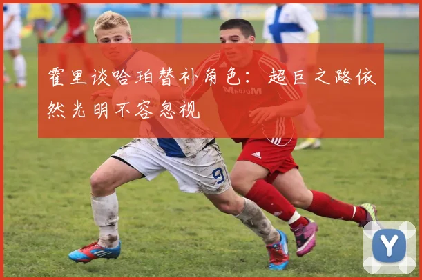 霍里谈哈珀替补角色：超巨之路依然光明不容忽视
