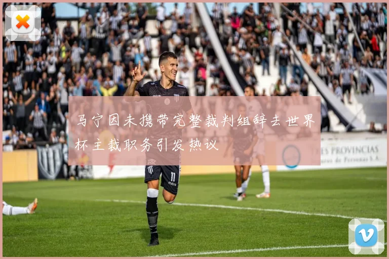 马宁因未携带完整裁判组辞去世界杯主裁职务引发热议